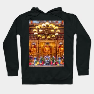 Po Lin Monastery, Lantau Island, Hong Kong Hoodie